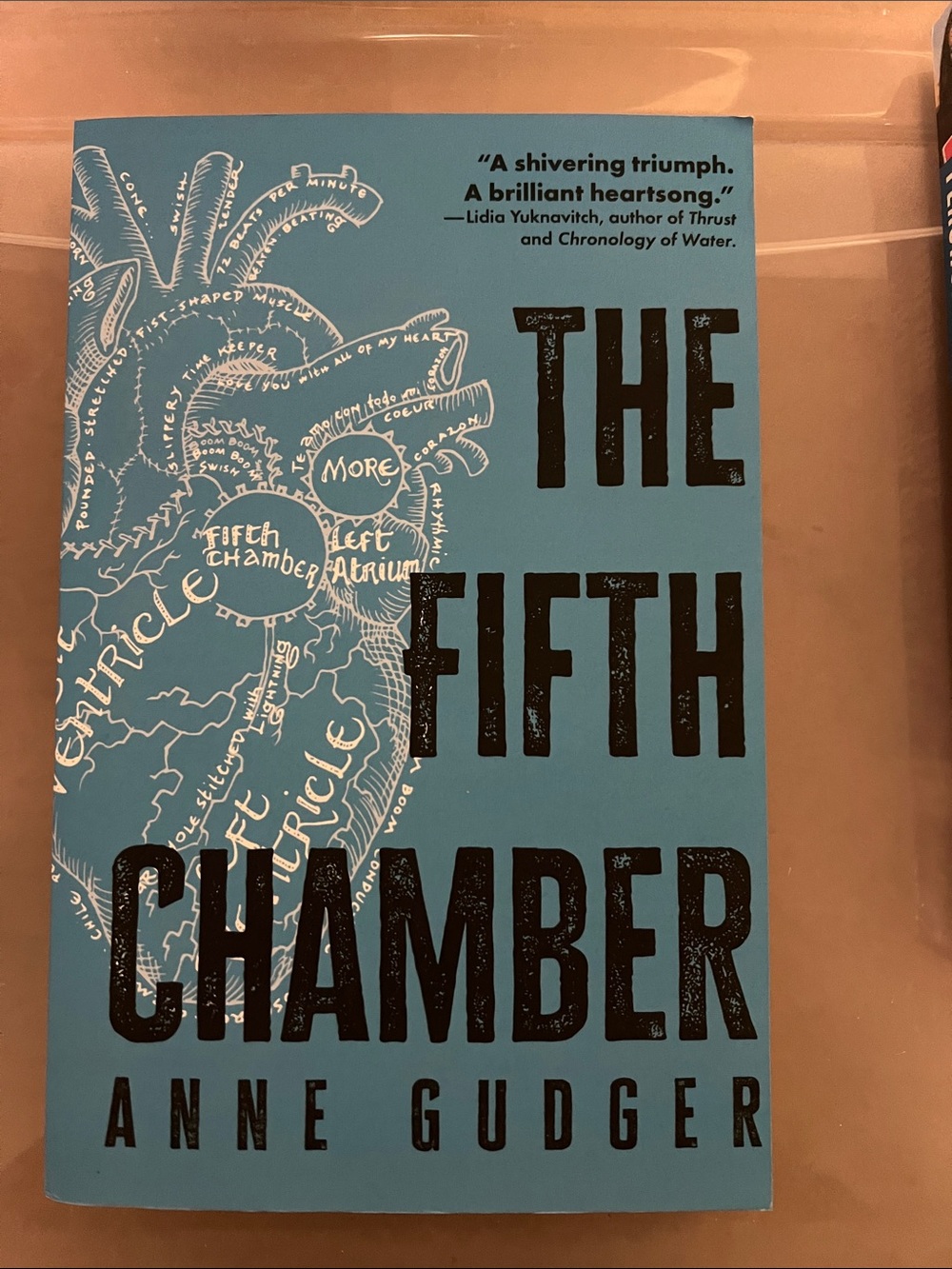 The Fifth Chamber by Anne Gudger - Blue Paperback